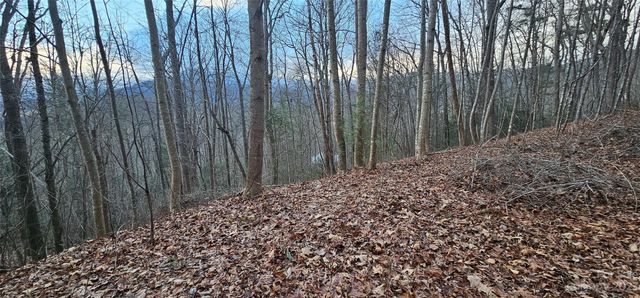 4 Lots Seay Mountain Road, Waynesville, NC 28785
