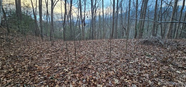 4 Lots Seay Mountain Road, Waynesville, NC 28785