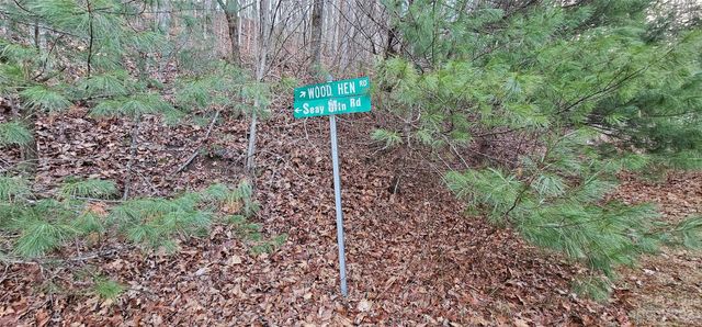 4 Lots Seay Mountain Road, Waynesville, NC 28785