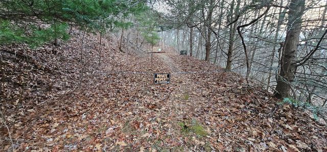 4 Lots Seay Mountain Road, Waynesville, NC 28785