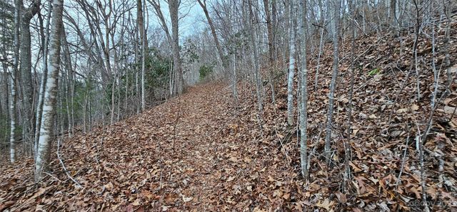 4 Lots Seay Mountain Road, Waynesville, NC 28785