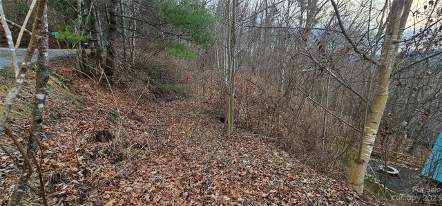 4 Lots Seay Mountain Road, Waynesville, NC 28785