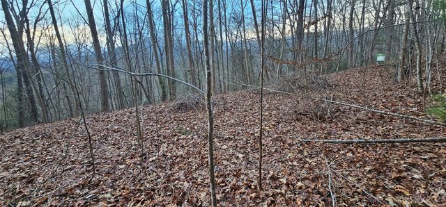 4 Lots Seay Mountain Road, Waynesville, NC 28785