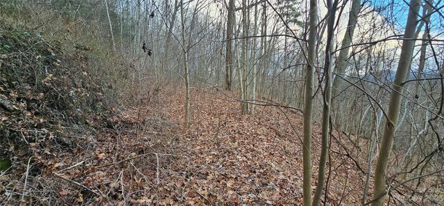 4 Lots Seay Mountain Road, Waynesville, NC 28785