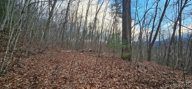 4 Lots Seay Mountain Road, Waynesville, NC 28785