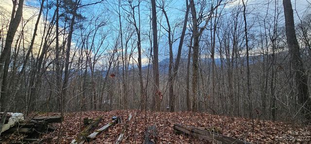 4 Lots Seay Mountain Road, Waynesville, NC 28785