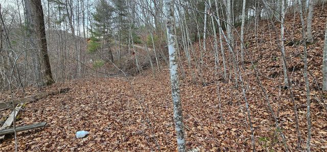 4 Lots Seay Mountain Road, Waynesville, NC 28785
