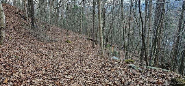 4 Lots Seay Mountain Road, Waynesville, NC 28785