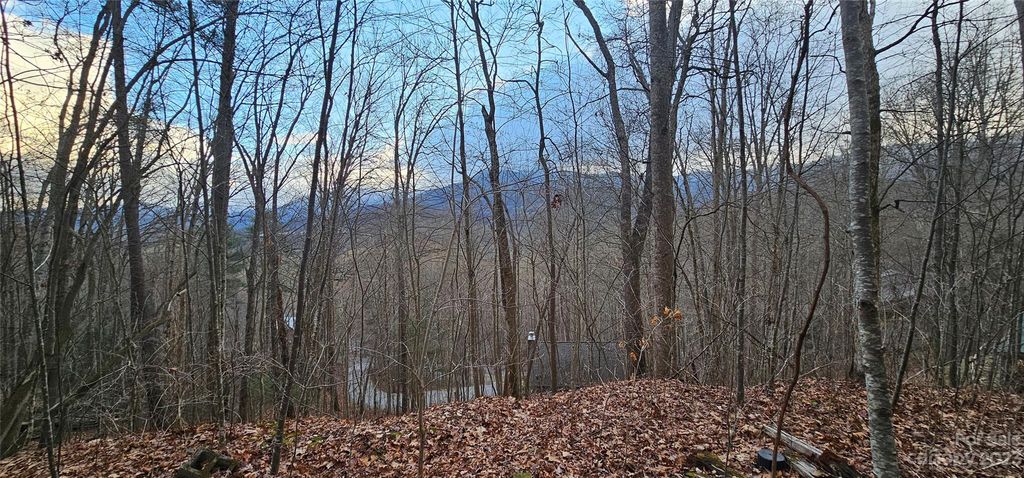4 Lots Seay Mountain Road, Waynesville, NC 28785