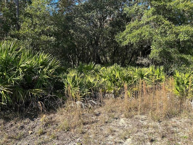632 N Dunkenfield Avenue, Crystal River, FL 34429