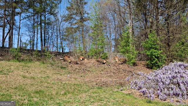 172 Willow Springs Lane, Stockbridge, GA 30281