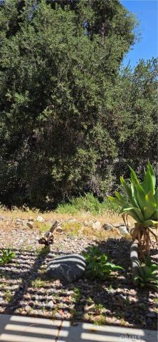 24590 Lowe, Corona, CA 92883