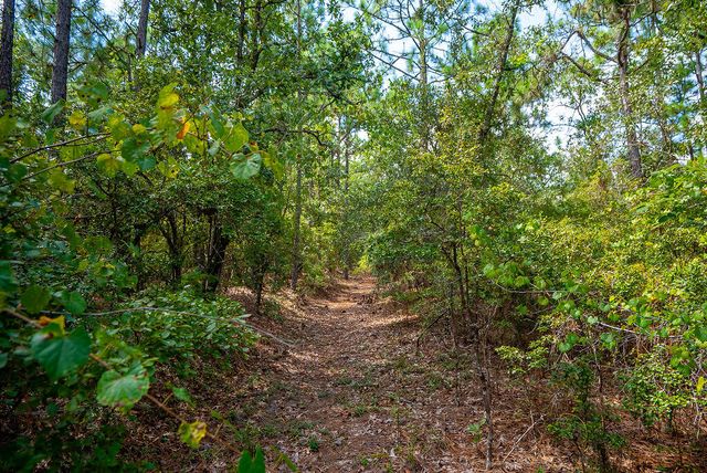 000 Fire Tower Road, Aiken, SC 29803