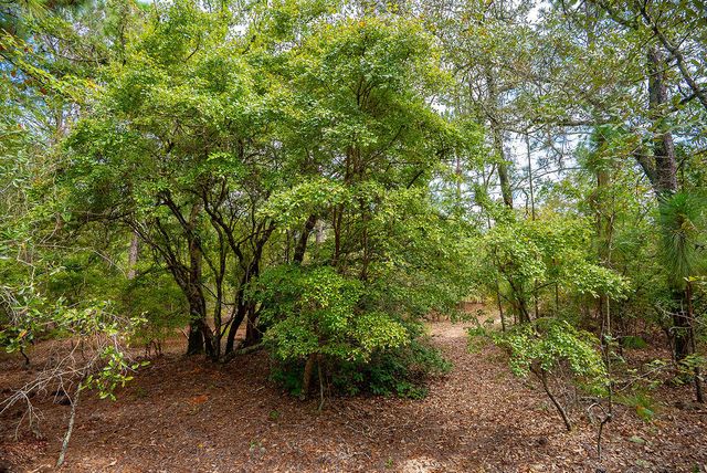 000 Fire Tower Road, Aiken, SC 29803