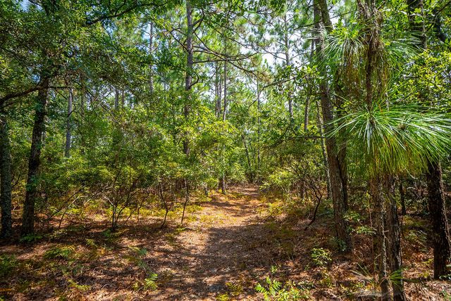 000 Fire Tower Road, Aiken, SC 29803