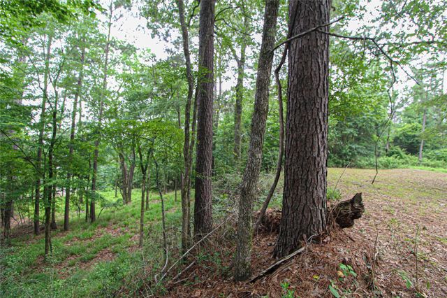 299 Hideaway Drive, Livingston, TX 77351