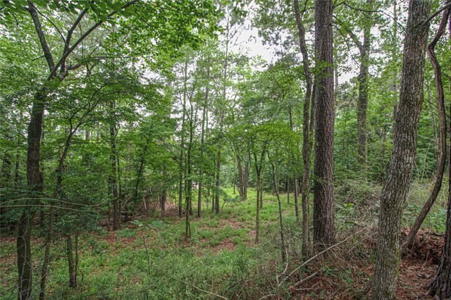 299 Hideaway Drive, Livingston, TX 77351