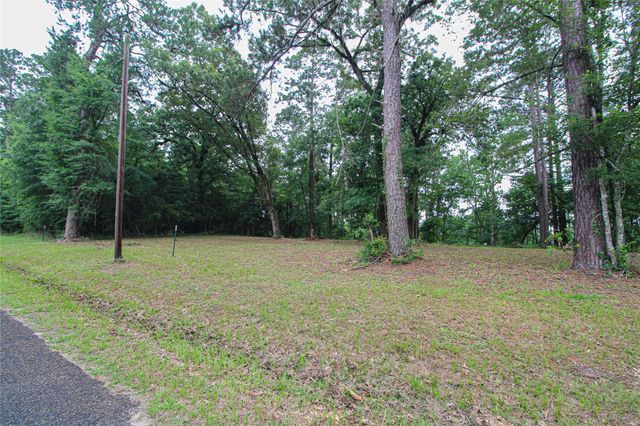 299 Hideaway Drive, Livingston, TX 77351