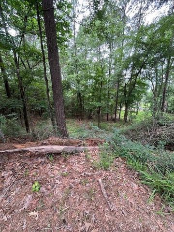 299 Hideaway Drive, Livingston, TX 77351