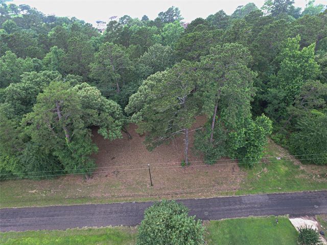 299 Hideaway Drive, Livingston, TX 77351