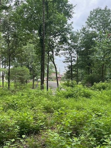 299 Hideaway Drive, Livingston, TX 77351