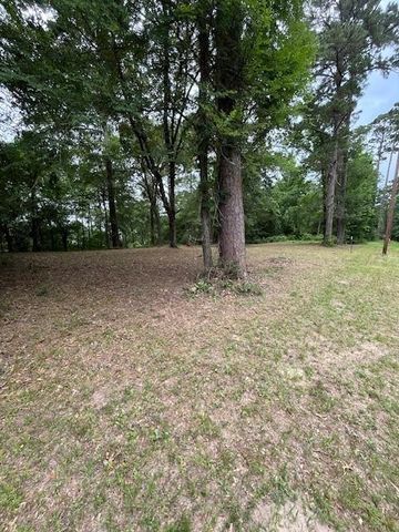 299 Hideaway Drive, Livingston, TX 77351