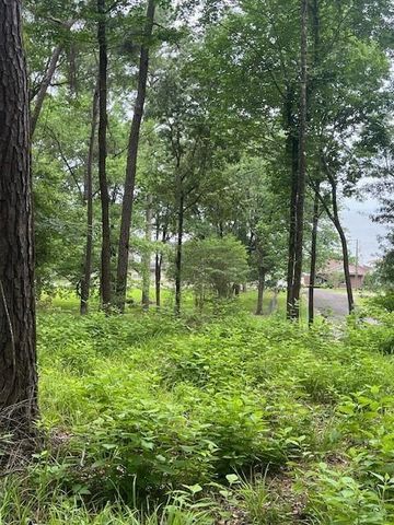 299 Hideaway Drive, Livingston, TX 77351
