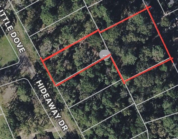 299 Hideaway Drive, Livingston, TX 77351
