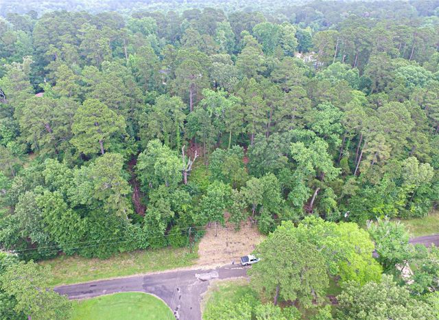 299 Hideaway Drive, Livingston, TX 77351