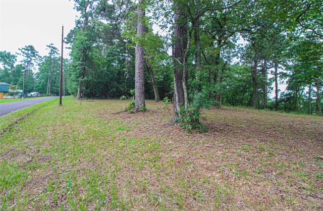 299 Hideaway Drive, Livingston, TX 77351