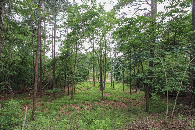 299 Hideaway Drive, Livingston, TX 77351
