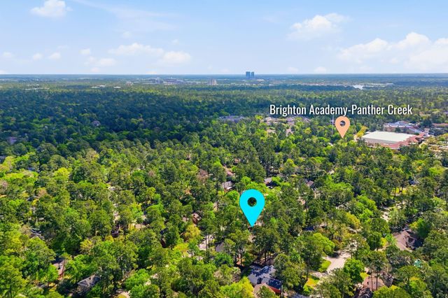 14 Dusky Meadow Place, The Woodlands, TX 77381