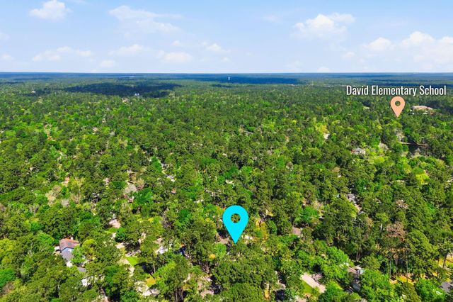 14 Dusky Meadow Place, The Woodlands, TX 77381