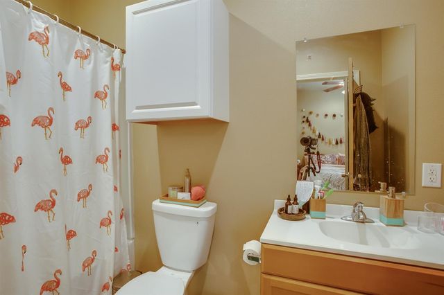 3114 30th Street, Lubbock, TX 79410