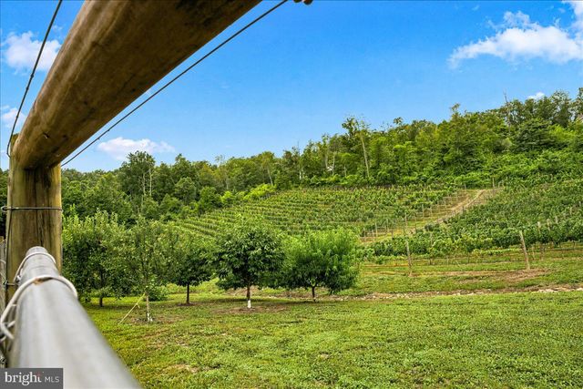 1309 REDLAND RD, Cross Junction, VA 22625