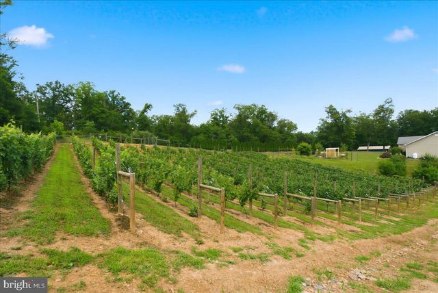 1309 REDLAND RD, Cross Junction, VA 22625