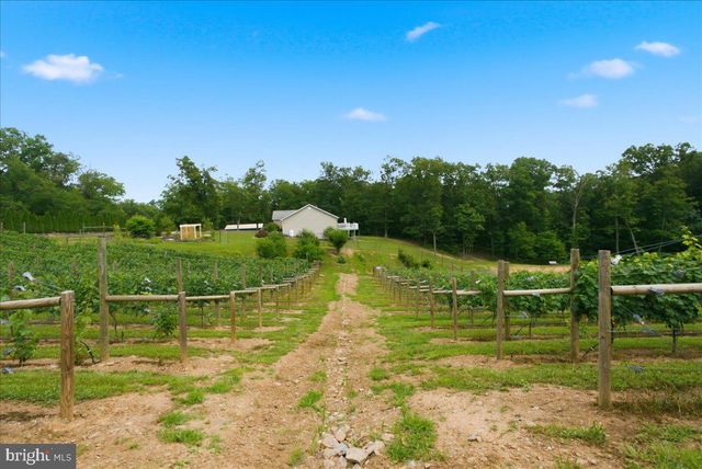 1309 REDLAND RD, Cross Junction, VA 22625