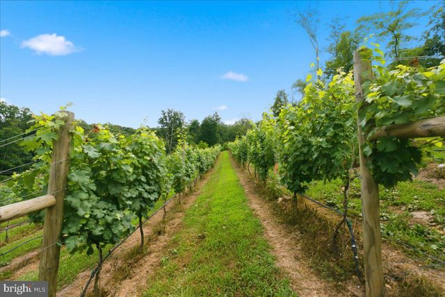 1309 REDLAND RD, Cross Junction, VA 22625