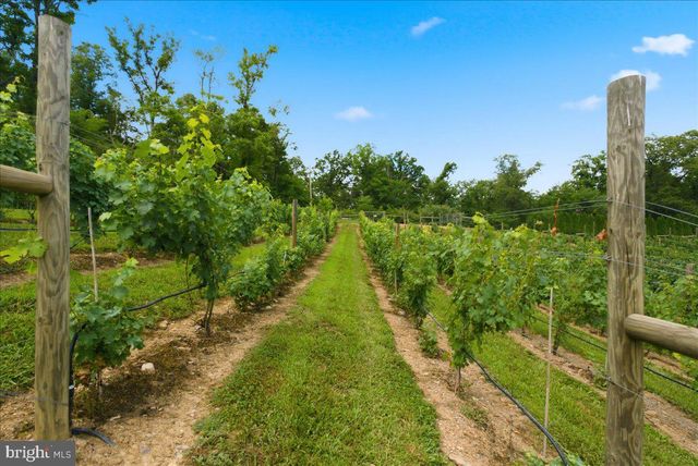 1309 REDLAND RD, Cross Junction, VA 22625