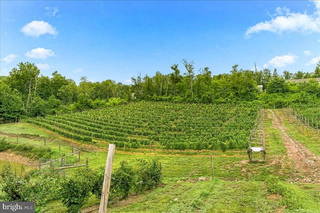 1309 REDLAND RD, Cross Junction, VA 22625