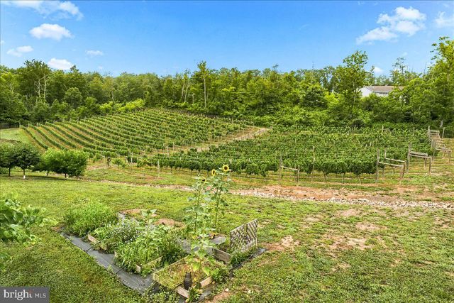 1309 REDLAND RD, Cross Junction, VA 22625