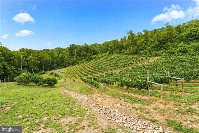 1309 REDLAND RD, Cross Junction, VA 22625