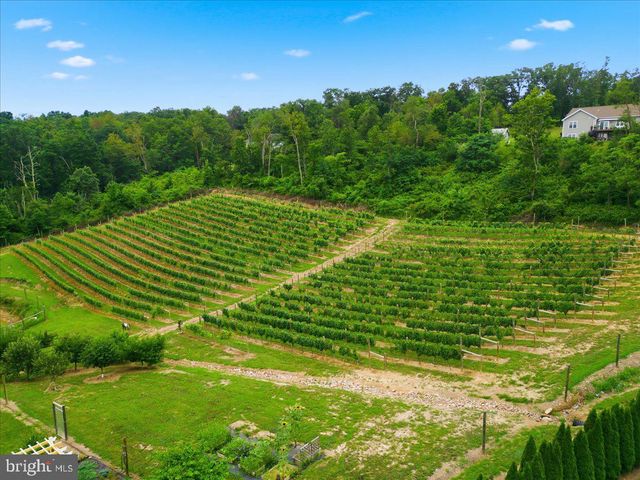 1309 REDLAND RD, Cross Junction, VA 22625