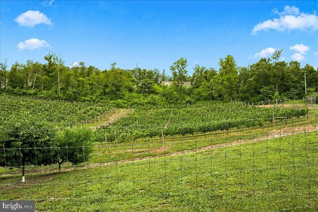 1309 REDLAND RD, Cross Junction, VA 22625