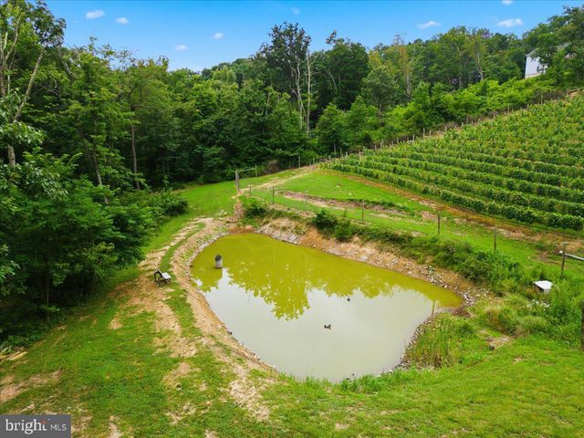 1309 REDLAND RD, Cross Junction, VA 22625