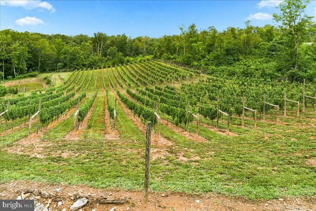1309 REDLAND RD, Cross Junction, VA 22625