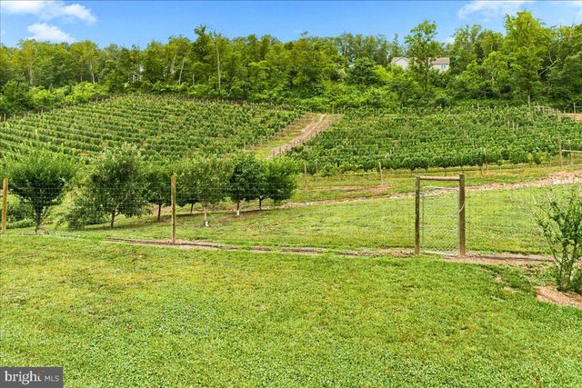1309 REDLAND RD, Cross Junction, VA 22625