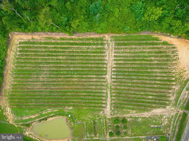 1309 REDLAND RD, Cross Junction, VA 22625
