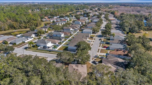 30244 BIRDHOUSE DRIVE, Wesley Chapel, FL 33545