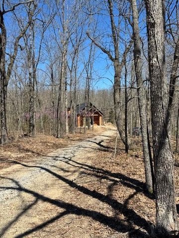 7105 County Road 8200, West Plains, MO 65775